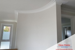 Clean Plaster