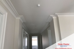 Clean Plaster
